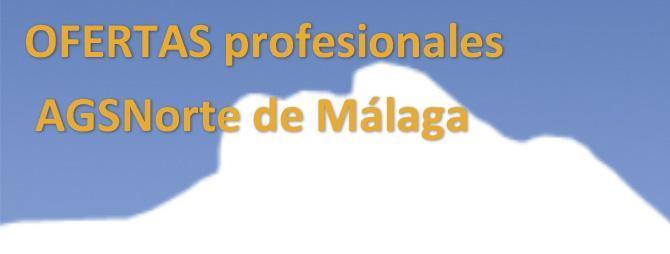 profesionales